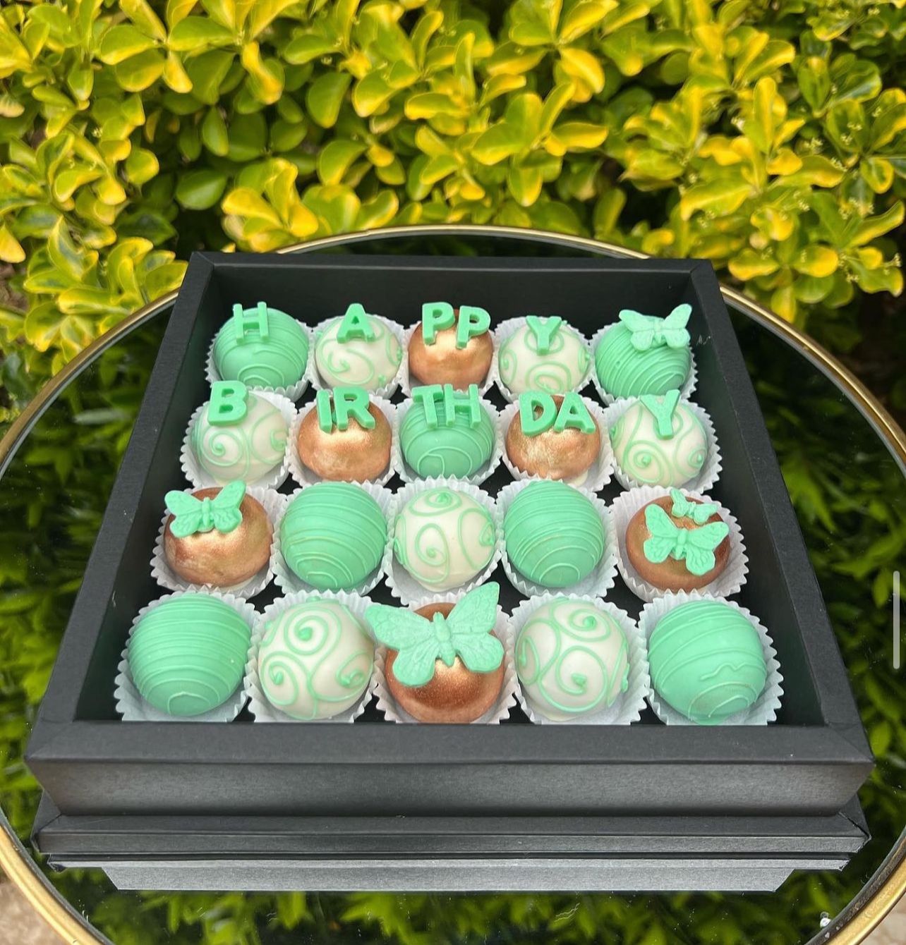 Special Box 6