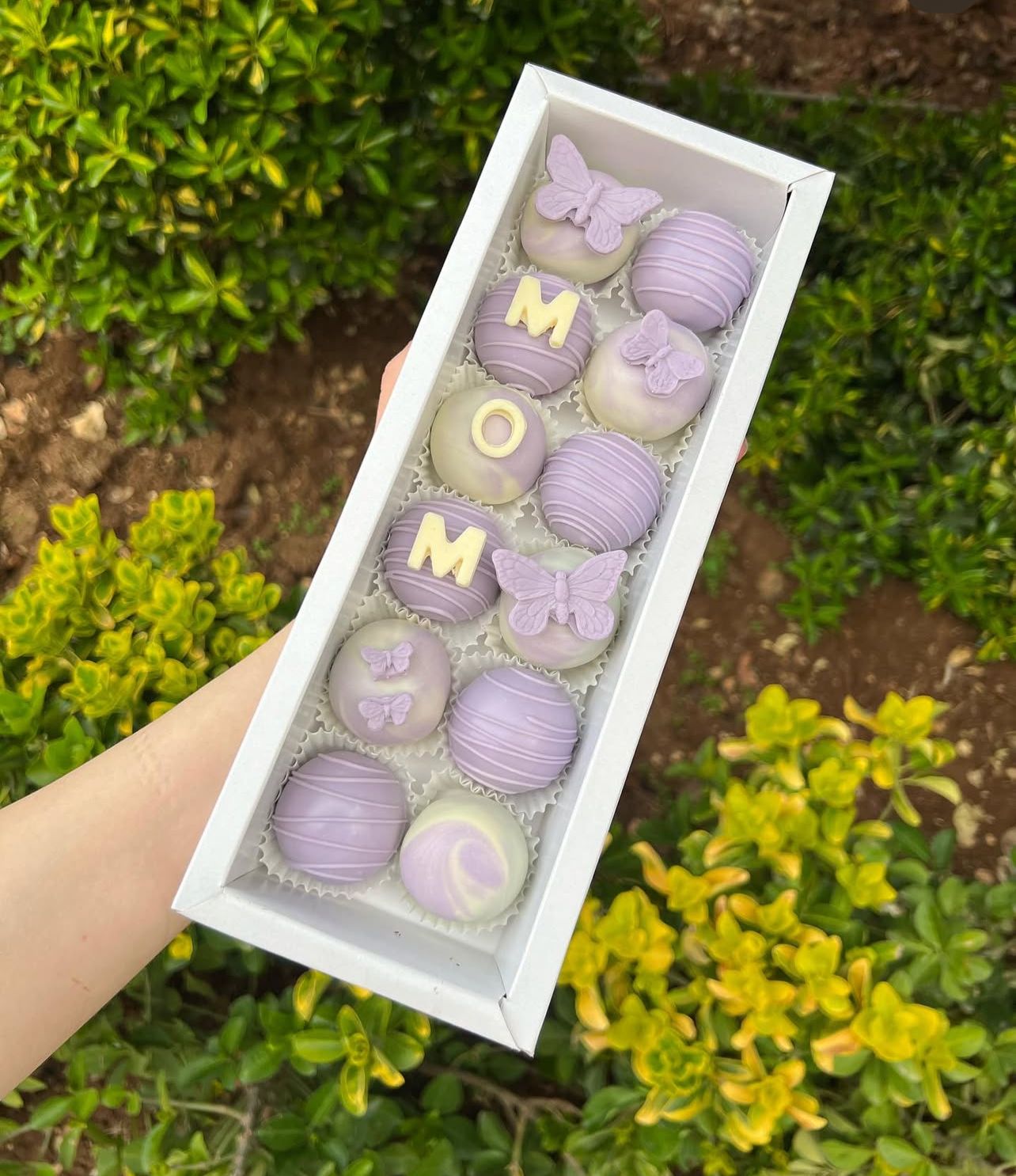 Special Box 8